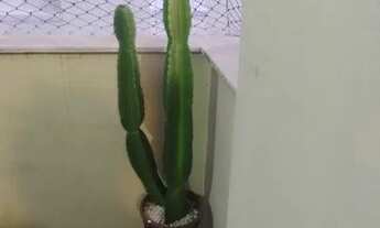 Imagem 3: APARTAMENTO RESIDENCIAL em RIO DE JANEIRO - RJ, FLAMENGO