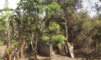 Imagem 4: Chácara em Bonfinópolis