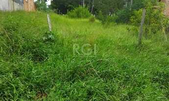 Imagem 5: Terreno para Venda - 0m², 0 dormitórios, Vila Elza