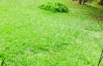 Imagem 4: Linda Chácara em Ibiúna Bairro Cocais/Piratuba