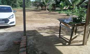 Imagem 6: Terreno frutífero em condomínio