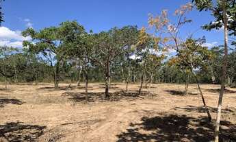 Imagem 6: Chácara 9000m², Energia, Terra Boa, Vista Maravilhosa, Arborizada, 4km de Aragoiânia