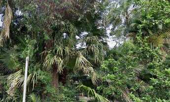 Imagem 3: Salão, 2007 m² - venda por R$ 18.000.000,00 ou aluguel por R$ 81.630,00/mês - Alto de Pinh