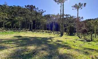 Imagem 2: OPORTUNIDADE BARATA NA SERRA CATARINENSE EM LOCAL ONDE NEVA!