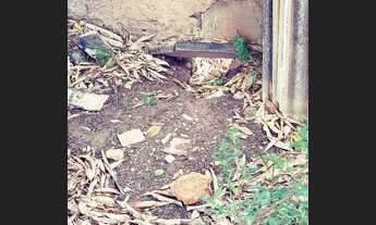 Imagem 6: Casa localizada no jardim ceu azul