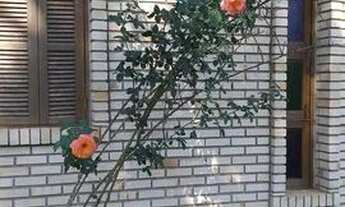 Imagem 3: Velleda Oferece, Belíssimo sítio no condomínio Rancho Alegre, Águas Claras