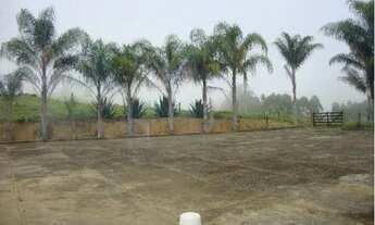 Imagem 6: Fazenda - Fazenda Cachoeira - Ilicínea