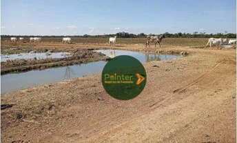Imagem: Fazenda à venda, 943 hectares por R$ 22.100.000
