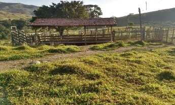 Imagem: Fazenda - Fazenda Cachoeira - Ilicínea