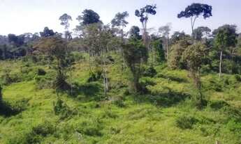 Imagem 2: Fazenda com 100 Alqueires sendo 35 de pasto