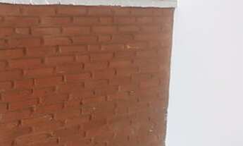 Imagem 5: Alugo Barracão fundos