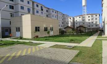 Imagem 4: Apartamento Padrão em Pelotas