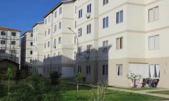 Imagem 5: Apartamento Padrão em Pelotas