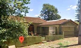 Imagem: Aceita Retirada de Eucalipto Por este Lote