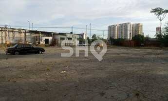 Imagem 3: TERRENO INDUSTRIAL - VILA GUILHERME