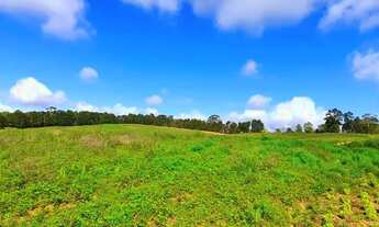 Imagem 6: TERRENO COM LAGO PARTICULAR