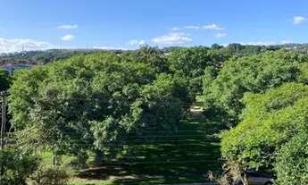 Imagem 6: Oportunidade - Ap reformado