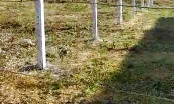 Imagem: O melhor terreno do bairro pantanal