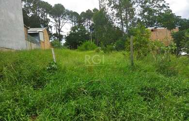 Imagem 6: Terreno para Venda - 0m², 0 dormitórios, Vila Elza