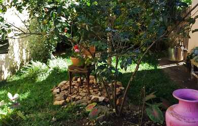 Imagem 4: Casa no residencial Don Felipe