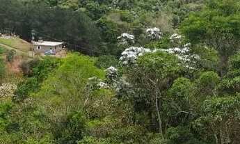 Imagem 3: Terreno com riacho em Igaratá