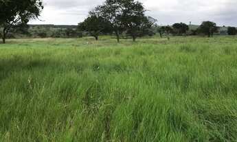 Imagem 7: Terreno a venda Terreno / lote com venda por R$1.000.000