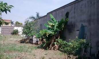 Imagem 2: Oportunidade Direto c/ Proprietário - Terreno 497m2 Vila Leopoldina - SP Zona Oeste