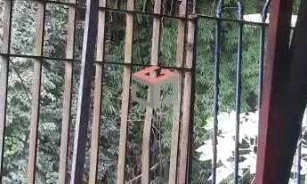 Imagem 7: Terreno à venda 6 vagas Piraporinha - Diadema - SP