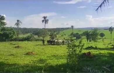 Imagem 2: Chácara à Venda em Iporá-GO 5 Alqueires de Terra de Cultura com Represa