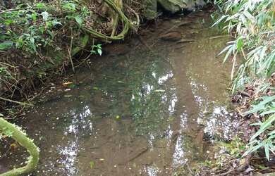 Imagem 7: Chácara de 4.686m² pertinho de Gramado