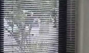 Imagem 5: Sala Comercial no Jardim Aquarius