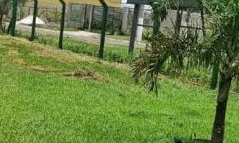 Imagem 5: Terreno em Alexânia/ GO