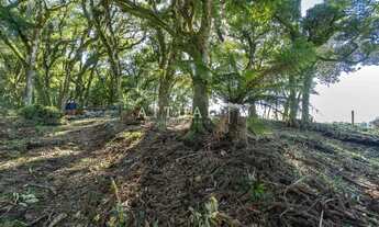 Imagem 5: LINDO TERRENO NO CONDOMÍNIO QUINTA DA SERRA