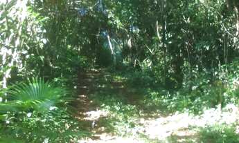 Imagem: Terreno disponível para venda, um investimento