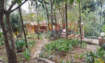 Imagem 6: Terreno em Reserva Das Hortências