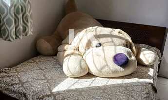 Imagem 6: Apartamento com 2 quartos à venda, Alto Cascavel, Guarapuava, PR