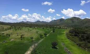 Imagem 4: Fazenda à venda em Vila Propício/GO com 1.452 Hectares