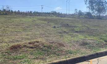 Imagem 6: Lote bairro São Judas Tadeu, Conselheiro Lafaiete MG