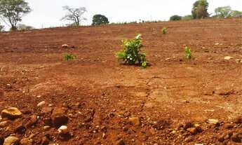 Imagem 6: Vendo Ágio Lote Nova Veneza - Goiás