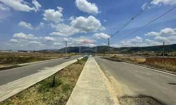 Imagem 7: Terreno Reserva Palmares