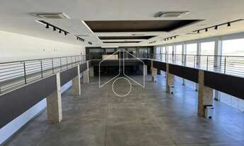 Imagem 7: Comercial GalpãoBarracão em Marília