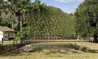 Imagem 7: Fazenda à Venda, 75 hectares, a 21 Km de Uruaçu-Go