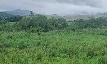 Imagem 3: Venda-se está fazenda de 92 alqueires no Município de Vila Velha/ES