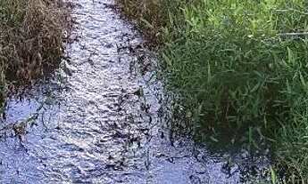 Imagem: Fazenda em Pontalina