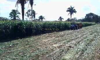 Imagem 3: 2 hectares (20.000m²) Terreno em Corumbá de Goiás