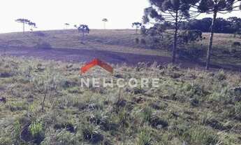 Imagem 5: Sítio em Interior - Lageado Grande - São Francisco de Paula/RS