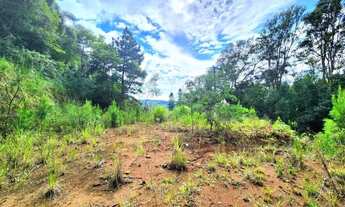 Imagem 7: Terreno para Venda em Nova Petrópolis, Linha Imperial