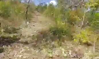 Imagem 3: Vendo chacara em Cuiabá na rodovia da chapada no km34