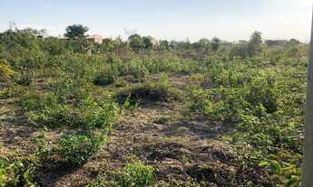 Imagem 5: Terrenos pra chácara ou moradia próximo a taiobeiras Minas Gerais