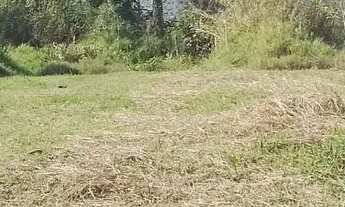 Imagem 4: Vende-se ou troca